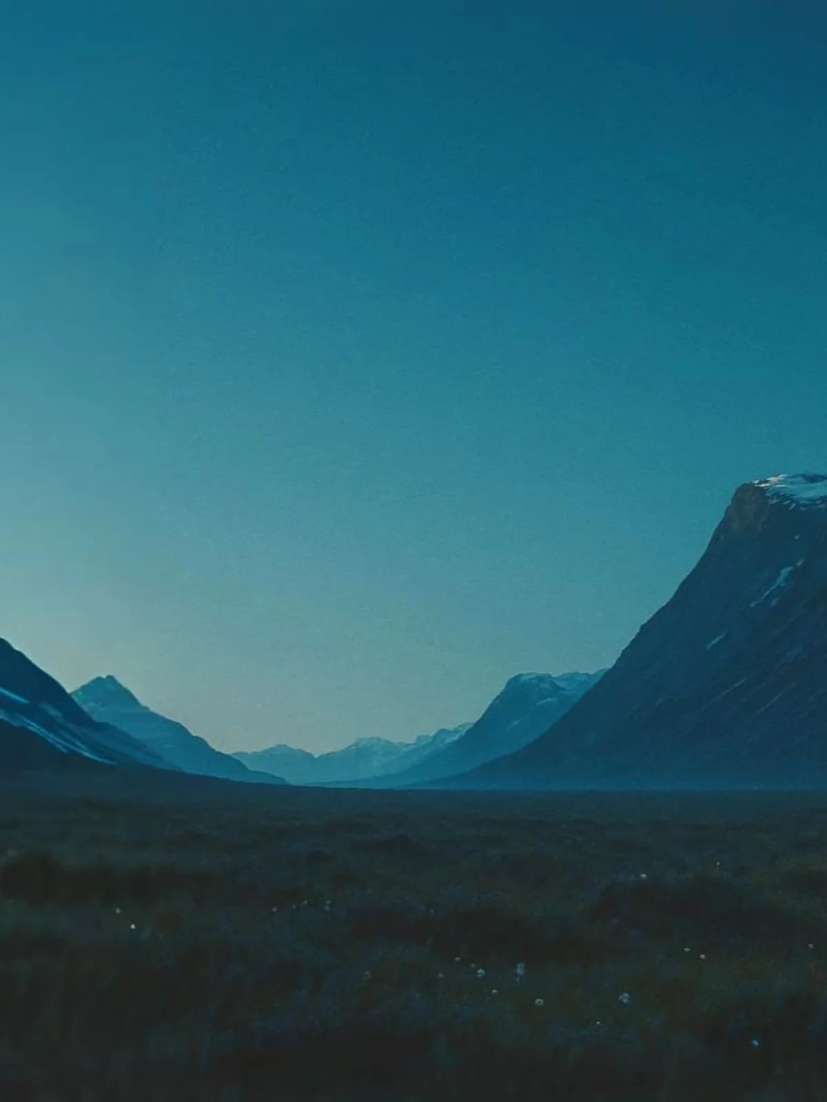 Legal Information Services